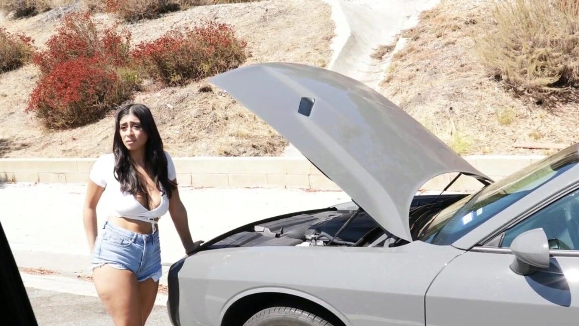 quanto ganha um uber trabalhando 8 horas por dia - Busty Latina Violet Myers Offers Her Pussy To Random Black Dudes