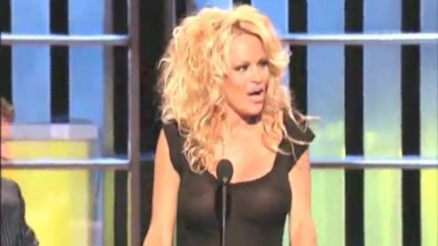 nivaldo jatobá fortuna - Pamela Anderson Breasty In A Watch-Thru Top